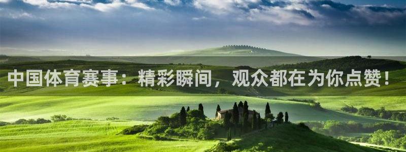 中国体育赛事：精彩瞬间，观众都在为你点赞！