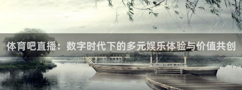 体育吧直播：数字时代下的多元娱乐体验与价值共创