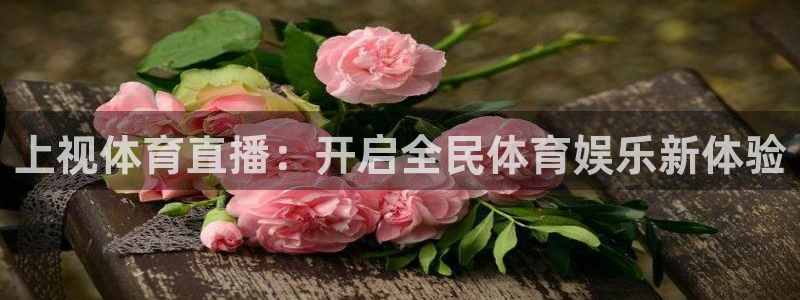 上视体育直播：开启全民体育娱乐新体验