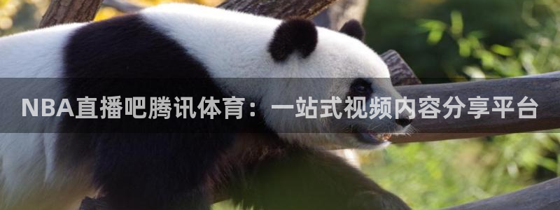 NBA直播吧腾讯体育：一站式视频内容分享平台