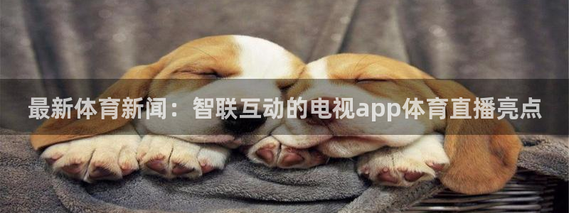 最新体育新闻：智联互动的电视app体育直播亮点