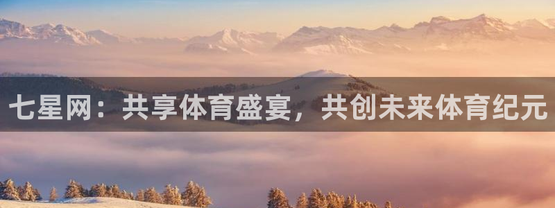 七星网：共享体育盛宴，共创未来体育纪元