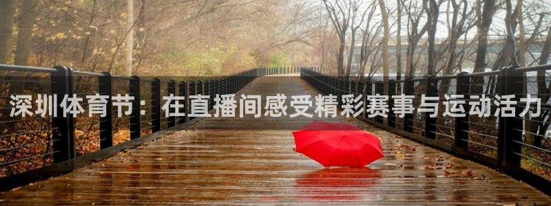 深圳体育节：在直播间感受精彩赛事与运动活力