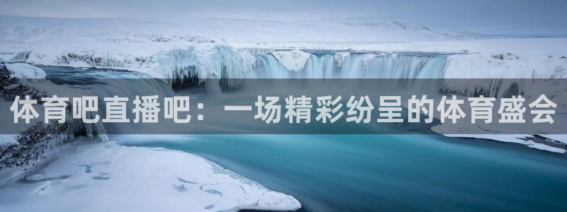 体育吧直播吧：一场精彩纷呈的体育盛会