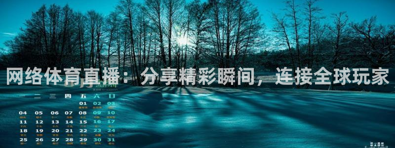 网络体育直播：分享精彩瞬间，连接全球玩家