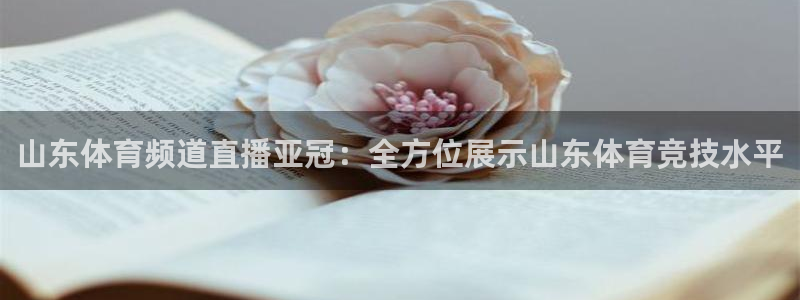 山东体育频道直播亚冠：全方位展示山东体育竞技水平