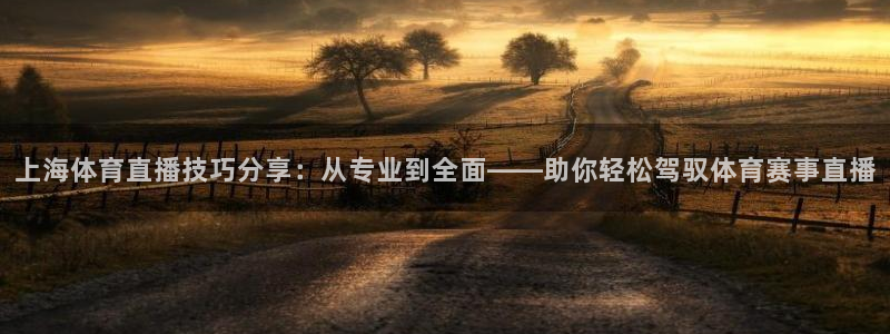 上海体育直播技巧分享：从专业到全面——助你轻松驾驭体育赛事直播