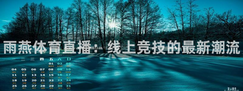 雨燕体育直播：线上竞技的最新潮流