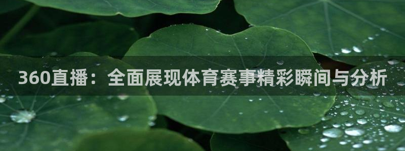 360直播：全面展现体育赛事精彩瞬间与分析