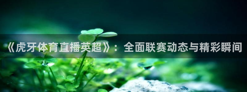 《虎牙体育直播英超》：全面联赛动态与精彩瞬间