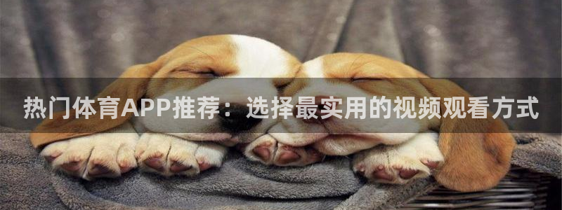 热门体育APP推荐：选择最实用的视频观看方式