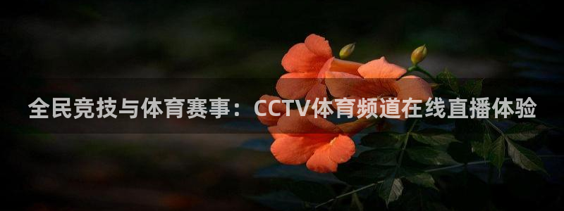 全民竞技与体育赛事：CCTV体育频道在线直播体验