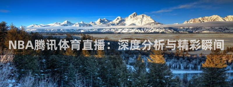 NBA腾讯体育直播：深度分析与精彩瞬间