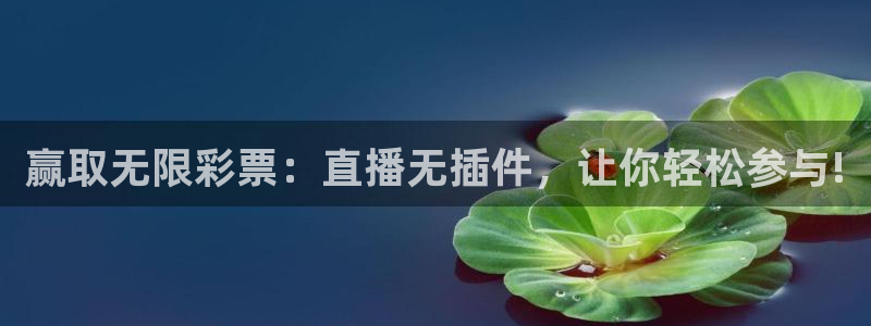 赢取无限彩票：直播无插件，让你轻松参与!
