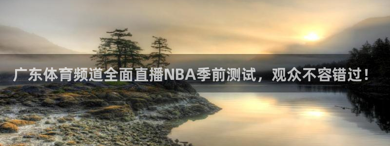 广东体育频道全面直播NBA季前测试，观众不容错过！
