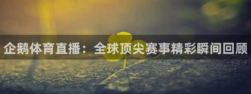 企鹅体育直播：全球顶尖赛事精彩瞬间回顾