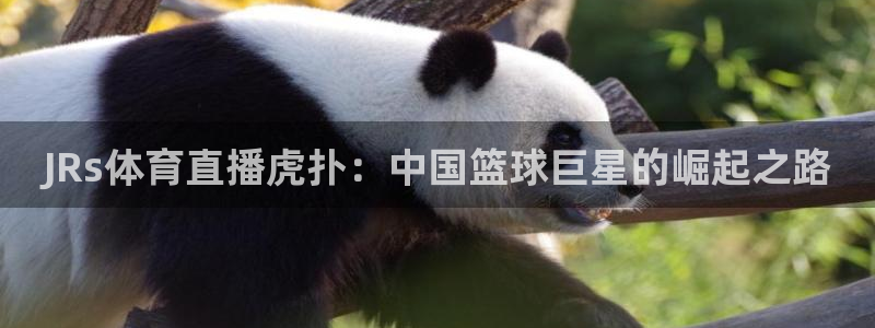 JRs体育直播虎扑：中国篮球巨星的崛起之路