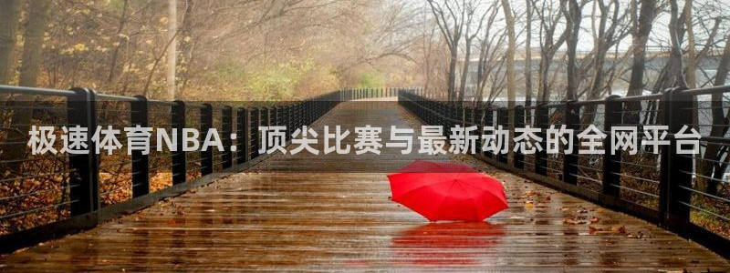极速体育NBA：顶尖比赛与最新动态的全网平台