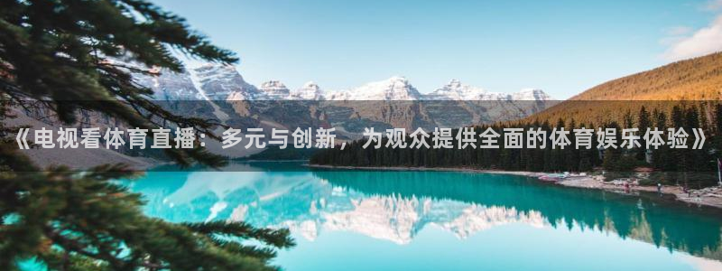 《电视看体育直播：多元与创新，为观众提供全面的体育娱乐体验》