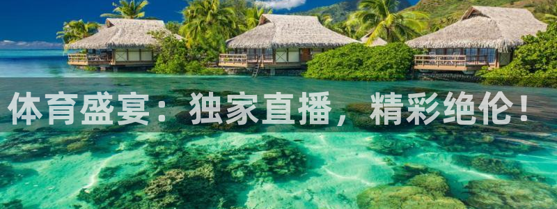 体育盛宴：独家直播，精彩绝伦！
