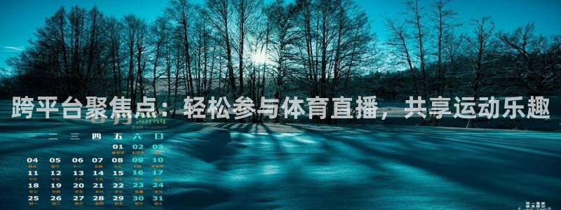 跨平台聚焦点：轻松参与体育直播，共享运动乐趣