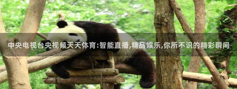 中央电视台央视频天天体育:智能直播,精品娱乐,你所不识的精彩瞬间