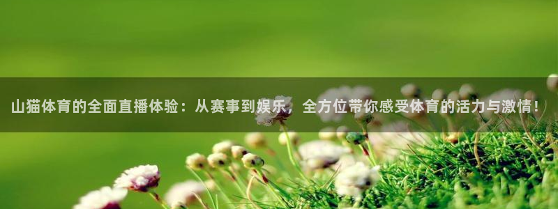 山猫体育的全面直播体验：从赛事到娱乐，全方位带你感受体育的活力与激情！