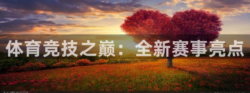 体育竞技之巅：全新赛事亮点