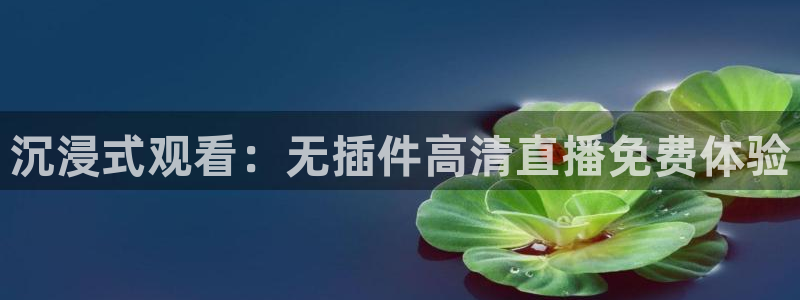 沉浸式观看：无插件高清直播免费体验