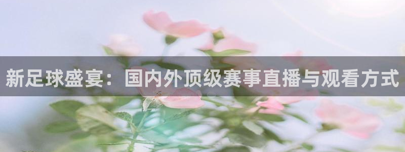 新足球盛宴：国内外顶级赛事直播与观看方式