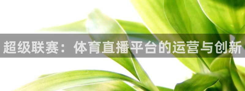 超级联赛：体育直播平台的运营与创新