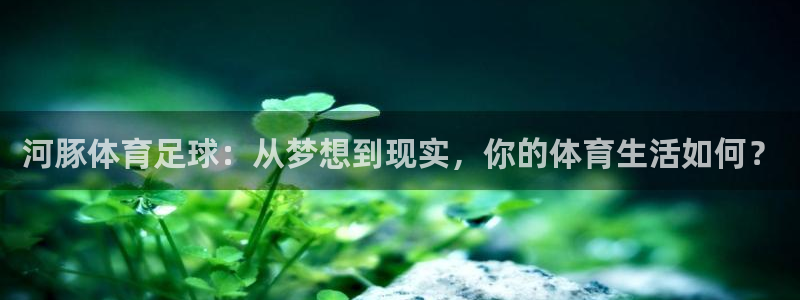 河豚体育足球：从梦想到现实，你的体育生活如何？