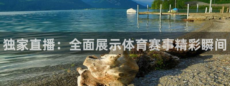 独家直播：全面展示体育赛事精彩瞬间