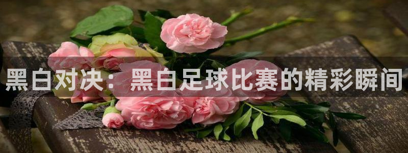 黑白对决：黑白足球比赛的精彩瞬间