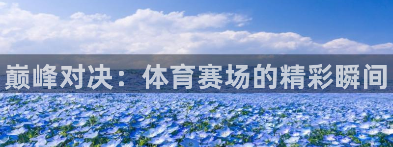 巅峰对决：体育赛场的精彩瞬间
