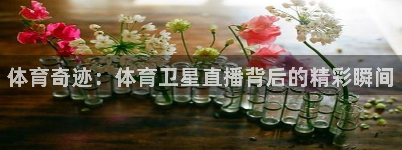 体育奇迹：体育卫星直播背后的精彩瞬间