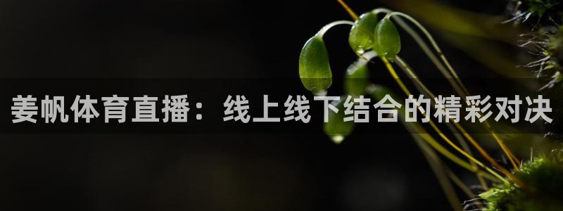 姜帆体育直播：线上线下结合的精彩对决