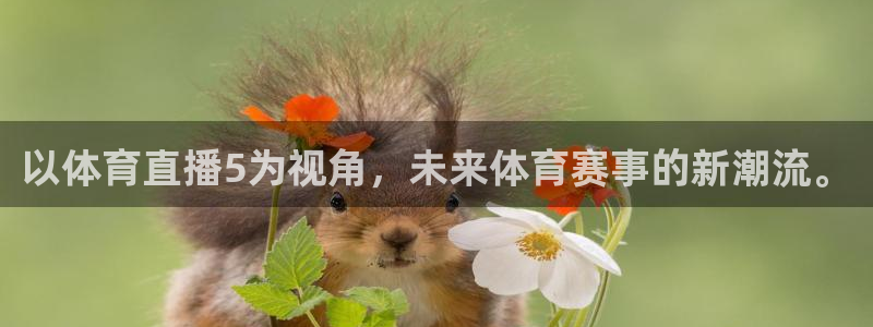 以体育直播5为视角，未来体育赛事的新潮流。