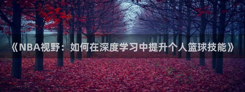 《NBA视野：如何在深度学习中提升个人篮球技能》