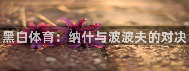 黑白体育：纳什与波波夫的对决