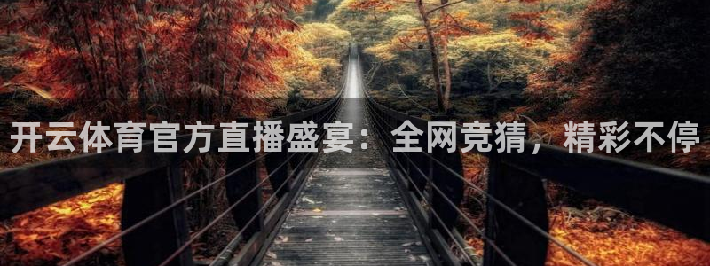 开云体育官方直播盛宴：全网竞猜，精彩不停