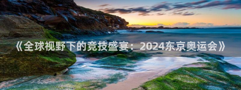 《全球视野下的竞技盛宴：2024东京奥运会》