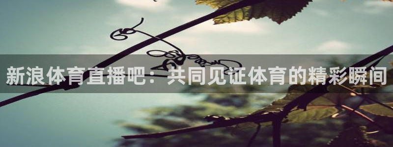 新浪体育直播吧：共同见证体育的精彩瞬间